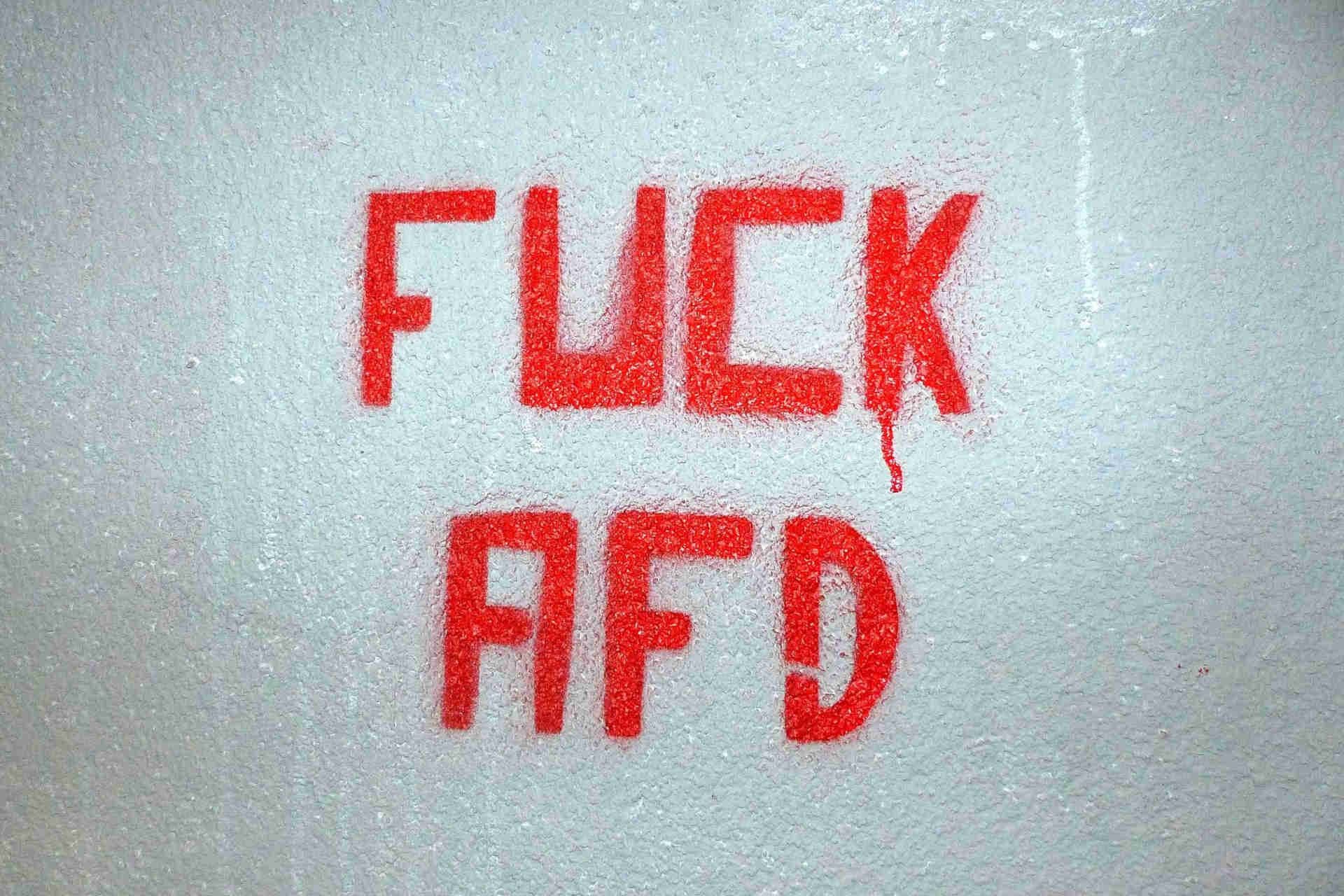 Perché AfD spaventa l’establishment?