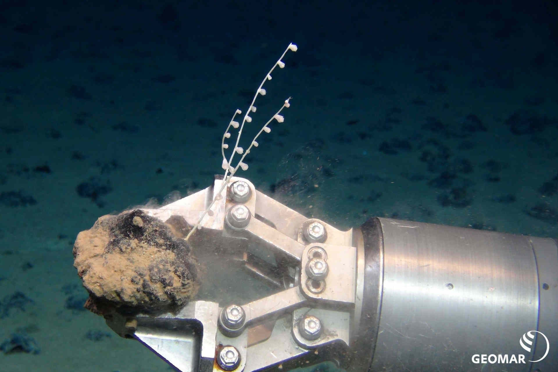 Breve storia del deep sea mining